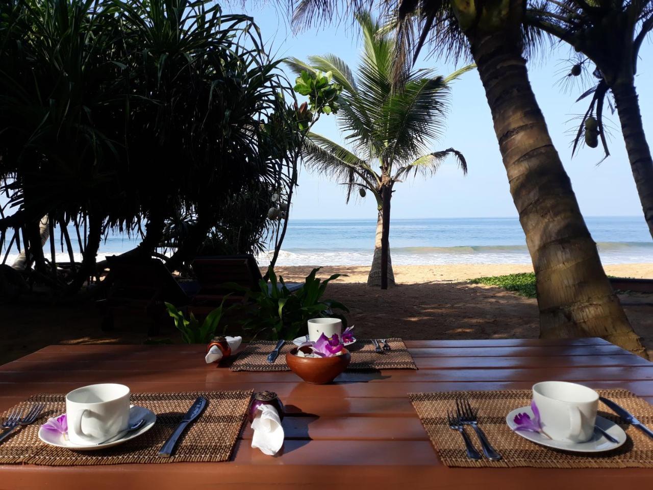 Arcade Beach Hotel Bentota Eksteriør bilde